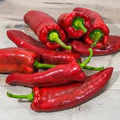 250 mg Giant Marconi Red Sweet Pepper Seeds - Capsicum annuum Heirloom