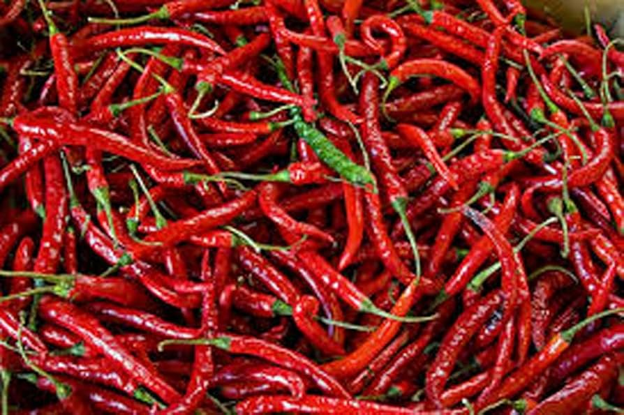 Cayenne Long Thin Pepper Seeds (Capsicum annuum) - Spicy 30 Seeds for Cooking & Drying