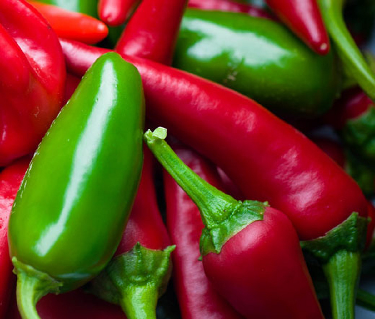 Jalapeno Early Hot Pepper Seeds (Capsicum annuum) - 30 Seeds, Heirloom