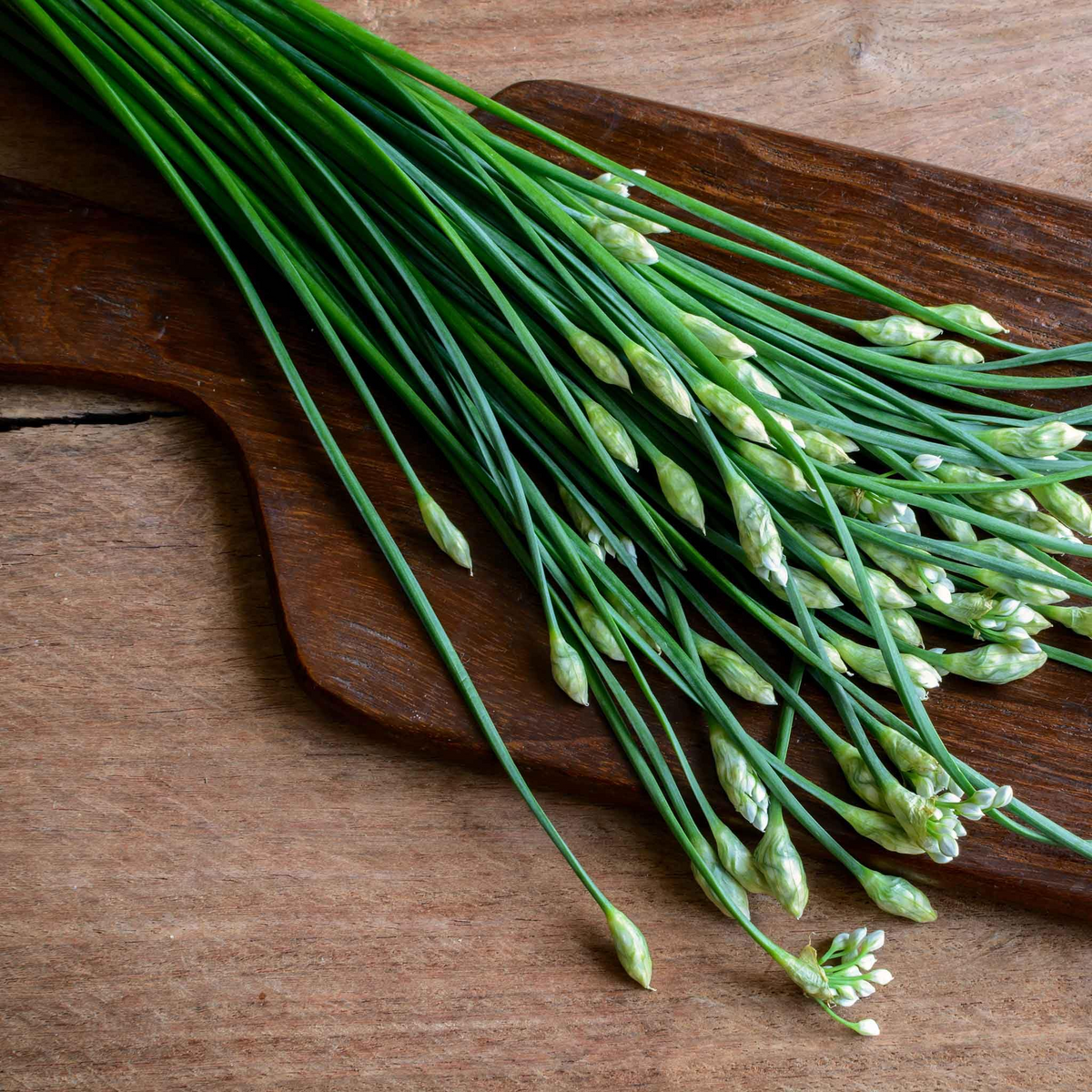 Garlic Chives Seeds – Heirloom, 300mg for Planting, Perennial Herb