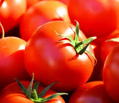 Celebrity Tomato (F1) Seeds - High-Yield Solanum lycopersicum