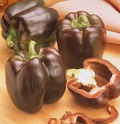 Chocolate Beauty Pepper Seeds - Capsicum annuum, Heirloom, Non-GMO
