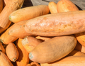 Jumbo Pink Banana Squash Seeds (Cucurbita maxima) - Heirloom, 10 Seeds