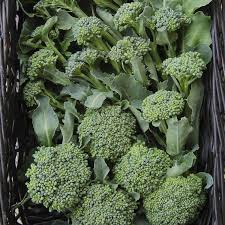 Broccoli Waltham 29 Seeds (1g) - Heirloom, Non-GMO, High-Yield