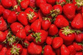Jewel Strawberry Bare Root Plants (Fragaria x ananassa) – High-Yield, Cold-Hardy