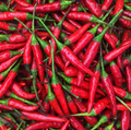 Red Thai Pepper Seeds - Heirloom Capsicum annuum, 20 Seeds, Hot 50,000-100,000 SHU