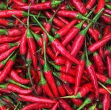 Red Thai Pepper Seeds - Heirloom Capsicum annuum, 20 Seeds, Hot 50,000-100,000 SHU