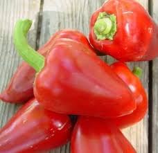 Pimento Pepper Seeds (Capsicum annuum) – Sweet Heirloom, 25 Seeds