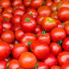 10 Seeds Early Girl Tomato (F1 Hybrid) – Fast-Maturing, Sweet & Juicy Tomato Variety