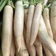 Japanese Minowase Daikon Radish Seeds – 1g, Heirloom, Mild & Crisp, Fast Growing