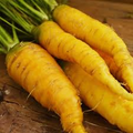 Solar Yellow Carrot Seeds (Daucus carota) – Heirloom, Golden Roots, 200 Seeds