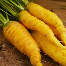 Solar Yellow Carrot Seeds (Daucus carota) – Heirloom, Golden Roots, 200 Seeds