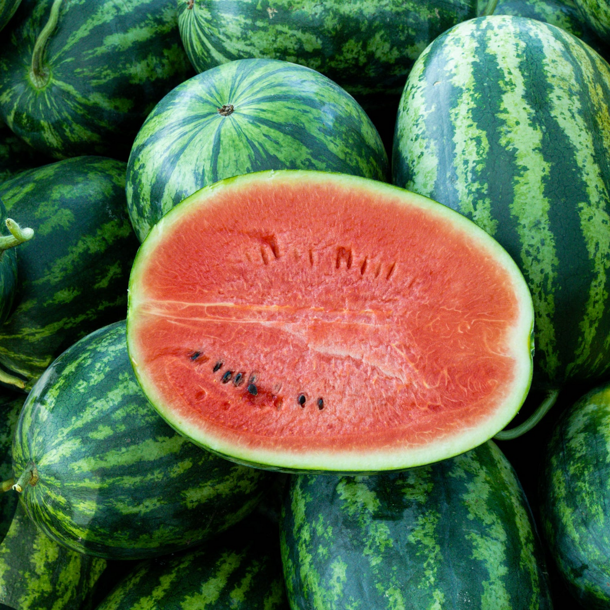 Jubilee Watermelon Seeds (Citrullus lanatus) - Heirloom, 5 Seeds