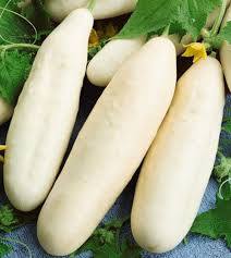 White Wonder Cucumber Seeds (Cucumis sativus) – 50 Seeds, Creamy White Skin