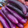 Long Purple Eggplant Seeds - 150 Count - Heirloom Solanum melongena