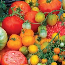 Creole Tomato Seeds (Solanum lycopersicum) - Heirloom, 15 Seeds