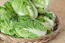 Matsushima Chinese Cabbage Seeds (Brassica rapa Pekinensia) - 150 Seeds