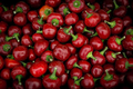 Pimento Pepper Seeds - Heirloom, Non-GMO | Sweet, Mild, Heart-Shaped Peppers (Capsicum annuum)