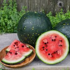 Moon & Stars Watermelon Seeds (Citrullus lanatus) - Heirloom, 15 Seeds