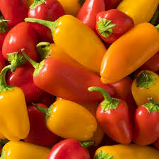Santa Fe Grande Pepper Seeds - Heirloom Capsicum annuum, Mildly Spicy, High-Yield