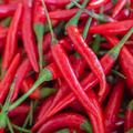 Hot Cayenne Red Long Pepper Seeds – Heirloom Capsicum annuum, 300mg for Planting