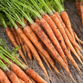 Carrot Scarlet Nantes Seeds – 1g Heirloom, Sweet & Crisp Roots, High Yield