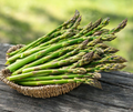 Jersey Knight Asparagus Bare Root Crowns – 2-Year-Old, High-Yield