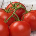 Better Boy Tomato VFN Seeds - 10 Seeds, Solanum lycopersicum