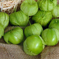 Tomatillo Verde Seeds (Physalis philadelphica) – 100 mg for Planting