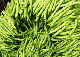 Provider Green Bush Bean Seeds - 5g Pack, Heirloom, High-Yield Phaseolus vulgaris