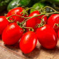 Roma Tomato Seeds - Heirloom Paste Tomato (Solanum lycopersicum) for Sauces & Canning - 100 mg Packet