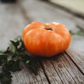 Dr. Wyche’s Yellow Tomato Seeds - Heirloom Beefsteak, Indeterminate, High-Yield (30 Seeds)