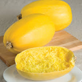 Spaghetti Squash Seeds – 1g for Planting, Heirloom Winter Squash, Cucurbita pepo
