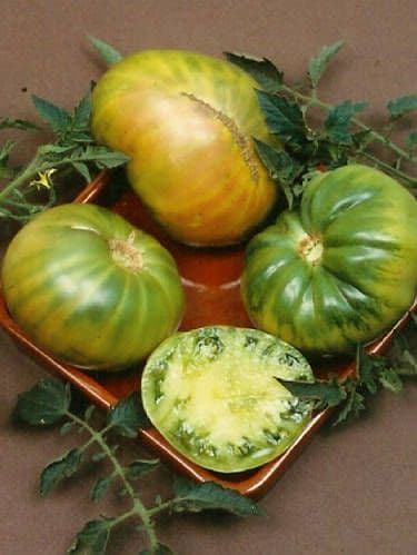 Aunt Ruby’s German Green Tomato Seeds - Heirloom Beefsteak (Solanum lycopersicum) 30 Seeds