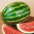 Crimson Sweet Watermelon Seeds – Heirloom, 2g for Planting