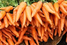 Tendersweet Carrot Seeds (Daucus carota) - 300 Seeds | Heirloom, Sweet Roots