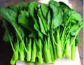 Wan Shen Kailan Seeds - Heirloom Chinese Broccoli (500mg) Non-GMO