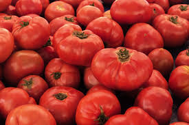 VR Moscow Tomato Seeds - Heirloom, 100mg for Planting, Cold Hardy, High Yield
