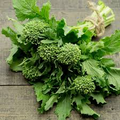Broccoli Raab Rapini Seeds (500mg) – Heirloom Spring Rabe, Fast Growing, High Yield