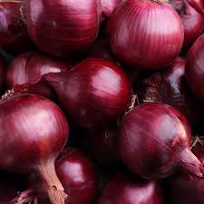 Red Grano Onion Seeds - Heirloom, Non-GMO, 110 Days to Maturity