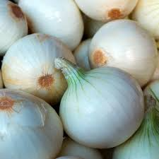 White Sweet Spanish Onion Seeds - Heirloom, Non-GMO, Long-Day (110 days) | 200-20,000 seeds