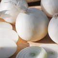 Onion Ringmaster Seeds (Allium cepa) - Heirloom, Sweet Globe Bulbs, 250 mg for Planting