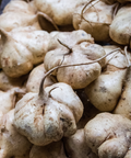 True Jicama (Pachyrhizus erosus) Seeds - 5 Heirloom Seeds for Planting