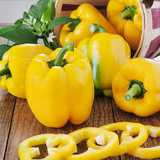 Sunbright Sweet Bell Pepper Seeds - Capsicum annuum, Yellow, Heirloom, Non-GMO