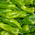 Cubanelle Sweet Pepper Seeds – Capsicum annuum, Mild, Large 6-8" Fruits, High-Yielding