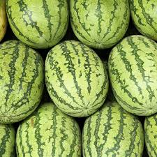 Carolina Cross Watermelon Seeds - Heirloom, Non-GMO, 95 Days