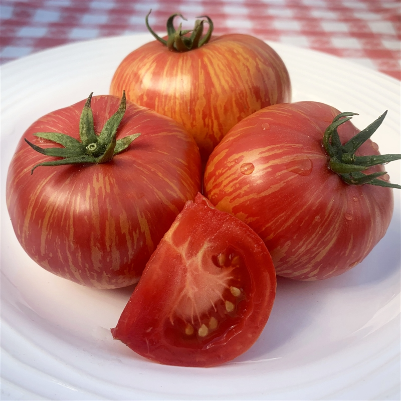 Vintage Wine Tomato Seeds - Heirloom Pink-Red with Gold Stripes, 30 Seeds