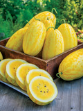 Gold In Gold Hybrid Watermelon Seeds - 50+ Seeds, Yellow Flesh, 80-90 Days