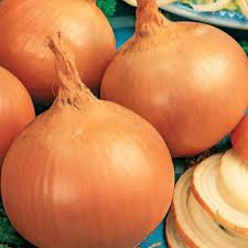 Burrell's Yellow Valencia Onion Seeds (Allium cepa) - 250mg, Non-GMO, Sweet Globe, High Yields