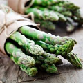 Green Atlas Asparagus Bare Root Crowns - 25 Two-Year-Old Crowns (Asparagus officinalis)